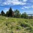  Land for sale in Chile, Villarrica, Cautin, Araucania, Chile