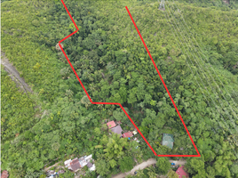  Land for sale in Consolacion, Cebu, Consolacion