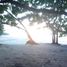  Land for sale in Puerto Princesa City, Mimaropa, Puerto Princesa City, Palawan, Mimaropa