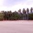  Land for sale in Puerto Princesa City, Mimaropa, Puerto Princesa City, Palawan, Mimaropa