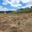  Land for sale in San Pedro De Los Milagros, Antioquia, San Pedro De Los Milagros