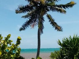  Terreno (Parcela) en venta en Othon P Blanco, Quintana Roo, Othon P Blanco, Quintana Roo