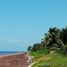  Terreno (Parcela) en venta en Othon P Blanco, Quintana Roo, Othon P Blanco, Quintana Roo