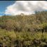 Terrain à vendre à Rionegro, Antioquia, Rionegro, Antioquia, Colombie