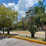  Grundstück zu verkaufen in Othon P Blanco, Quintana Roo, Othon P Blanco