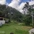  Terreno (Parcela) en venta en Xico, Veracruz, Xico, Veracruz