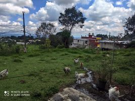 Terreno (Parcela) en venta en Xico, Veracruz, Xico, Veracruz