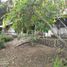  Terreno (Parcela) en venta en Xico, Veracruz, Xico, Veracruz