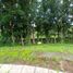  Land for sale in Silang, Cavite, Silang