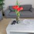 2 Schlafzimmer Appartement zu vermieten in Cozumel, Quintana Roo, Cozumel