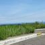 在Compostela, Cebu出售的 土地, Compostela
