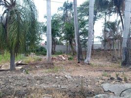  Terreno (Parcela) en venta en Guayas, Guayaquil, Guayaquil, Guayas