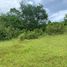  Land for sale in Cebu Central Visayas, Aloguinsan