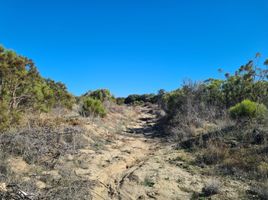  Terrain for sale in Tecate, Baja California, Tecate