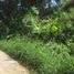  Terreno (Parcela) en venta en Cebu City, Central Visayas, Cebu City, Cebu, Central Visayas, Filipinas