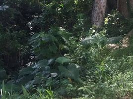  Terreno (Parcela) en venta en Cebu City, Central Visayas, Cebu City, Cebu, Central Visayas, Filipinas