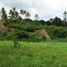  Terreno (Parcela) en venta en Cebu City, Central Visayas, Cebu City, Cebu, Central Visayas, Filipinas