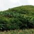  Terreno (Parcela) en venta en Cebu City, Central Visayas, Cebu City, Cebu, Central Visayas, Filipinas