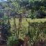  Land for sale in Tolima, Melgar, Tolima