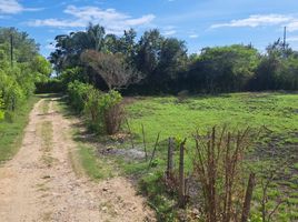  Terreno (Parcela) en venta en Tolima, Melgar, Tolima