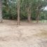  Land for sale in Centro, Tabasco, Centro