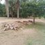  Land for sale in Centro, Tabasco, Centro