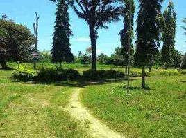  Land for sale in Central Visayas, Daanbantayan, Cebu, Central Visayas