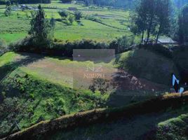  Land for sale in Marinilla, Antioquia, Marinilla