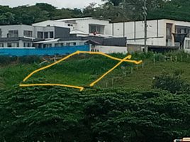  Terreno (Parcela) en venta en Tulua, Valle Del Cauca, Tulua