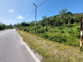  Terrain for sale in Negeri Sembilan, Gemencheh, Tampin, Negeri Sembilan