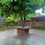 10 Schlafzimmer Haus zu vermieten in Cebu City, Central Visayas, Cebu City, Cebu, Central Visayas