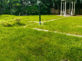  Land for sale at Ayala Alabang VIllage, Muntinlupa City