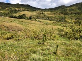  Terreno (Parcela) en venta en La Calera, Cundinamarca, La Calera