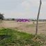  Land for sale in Atenco, Mexico, Atenco