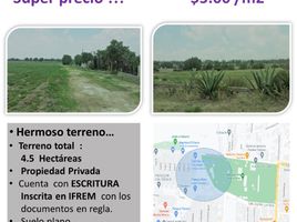  Land for rent in Atenco, Mexico, Atenco