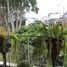 Appartement 3 chambre à vendre à Santiago De Surco, Lima, Santiago De Surco, Lima, Lima