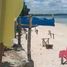  Terreno (Parcela) en venta en San Remigio, Central Visayas, San Remigio