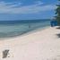  Terreno (Parcela) en venta en San Remigio, Central Visayas, San Remigio