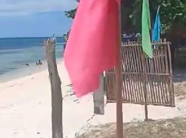  Terreno (Parcela) en venta en San Remigio, Central Visayas, San Remigio