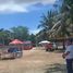  Terreno (Parcela) en venta en San Remigio, Central Visayas, San Remigio