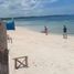  Terreno (Parcela) en venta en San Remigio, Central Visayas, San Remigio