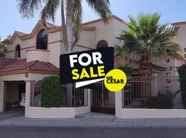 소노라PropertyTypeNameBedroom, Hermosillo, 소노라