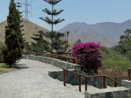  Land for sale in Pachacamac, Lima, Pachacamac