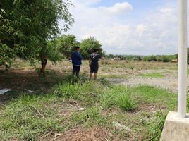  Land for sale in Alaminos City, Pangasinan, Alaminos City