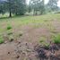  Land for sale in Ocoyoacac, Mexico, Ocoyoacac