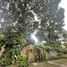  Terreno (Parcela) en venta en Caloocan City, Metro Manila, Caloocan City, Northern District, Metro Manila