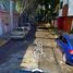 4 Schlafzimmer Villa zu verkaufen in Benito Juarez, Mexico City, Benito Juarez
