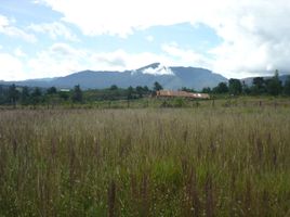  Land for sale in Villa De Leyva, Boyaca, Villa De Leyva