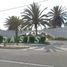  Land for sale in Paracas, Ica, Paracas