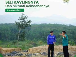  Land for sale in Leuwiliang, Bogor, Leuwiliang